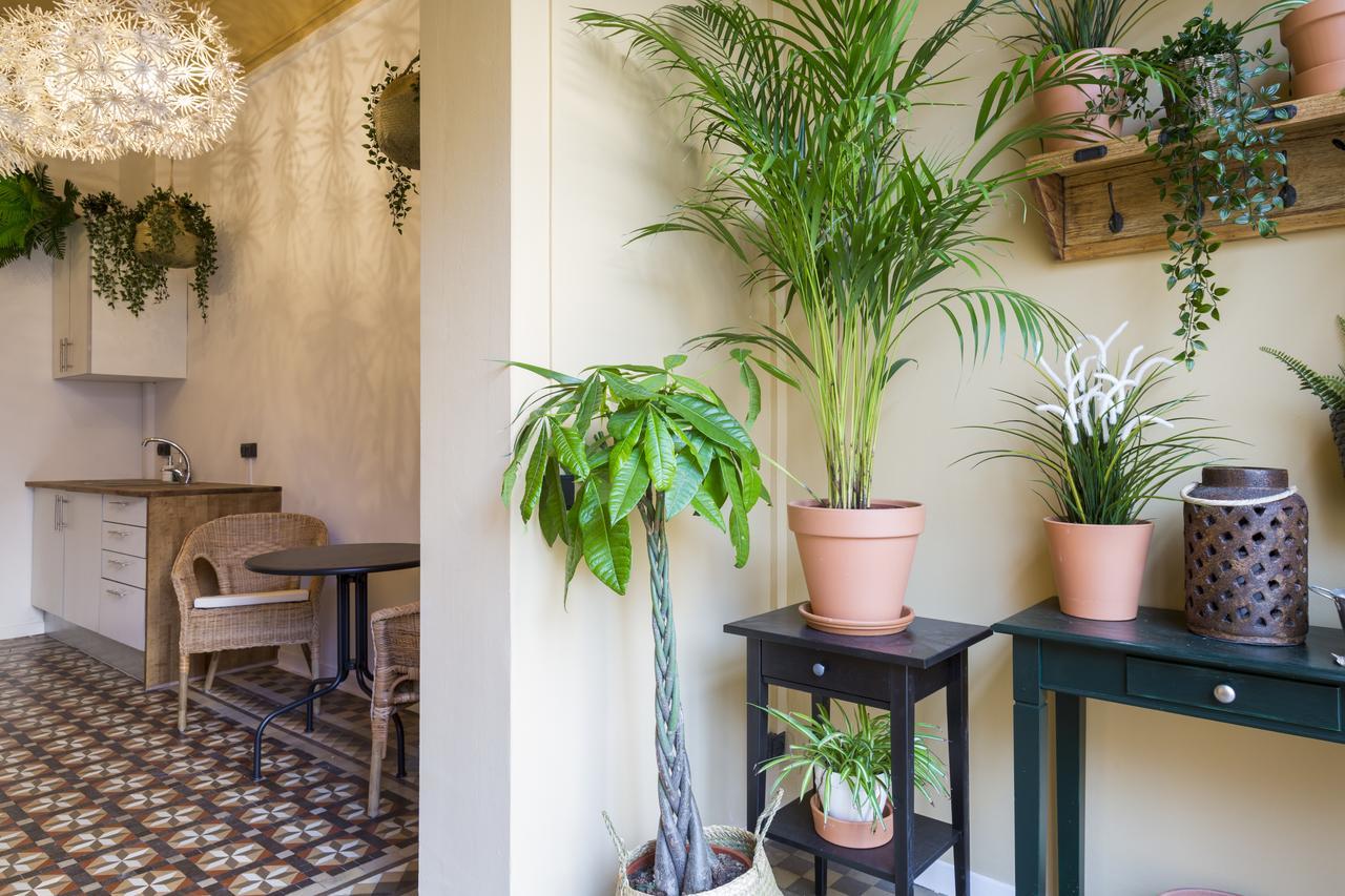 Casa Maca Barcelona (Adults Only) Exterior foto